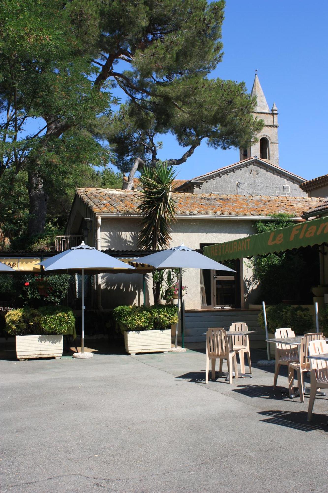 Logis Hotel Restaurant Le Flamant Rose Camargue Albaron Exterior photo