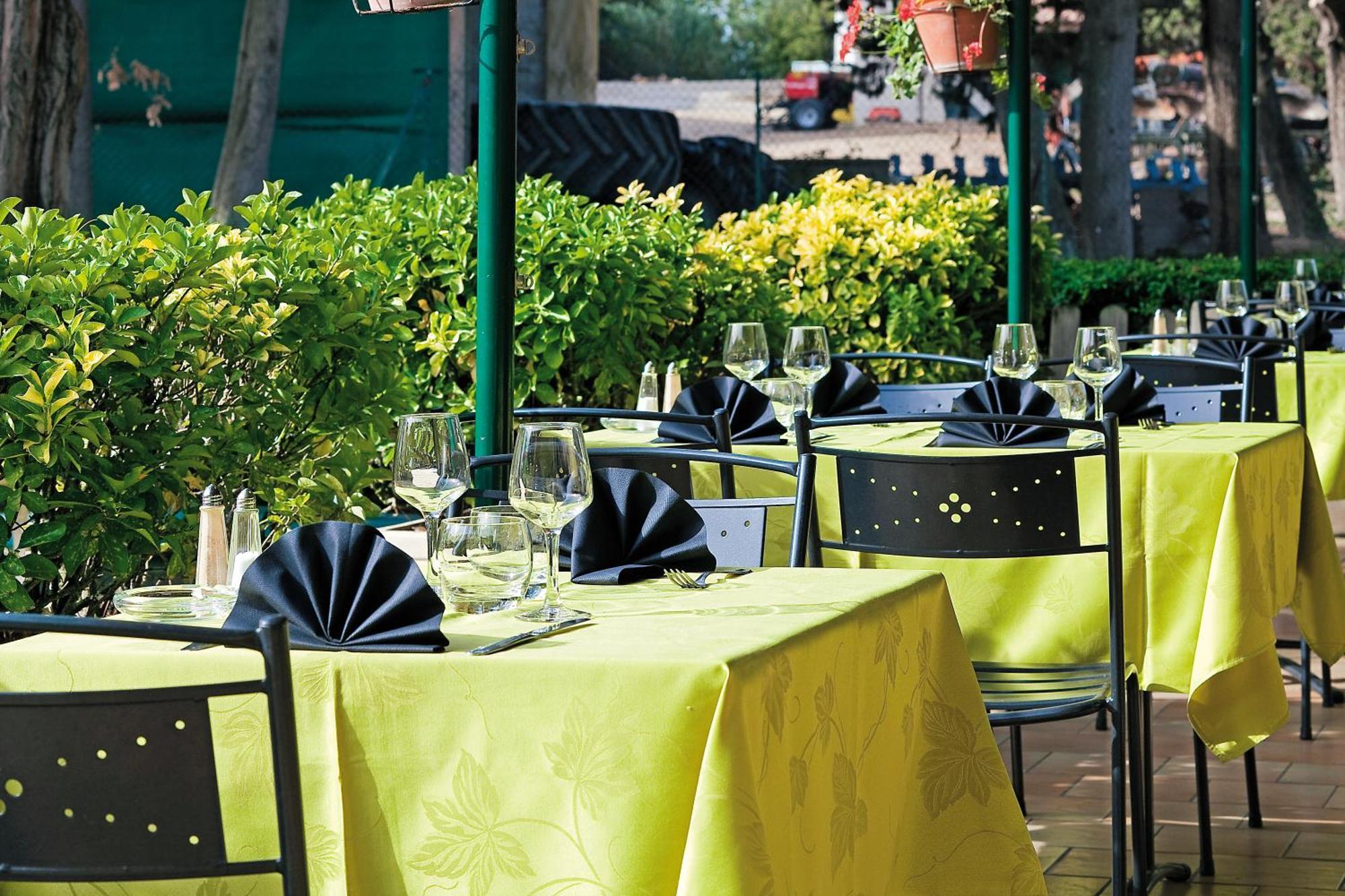 Logis Hotel Restaurant Le Flamant Rose Camargue Albaron Exterior photo